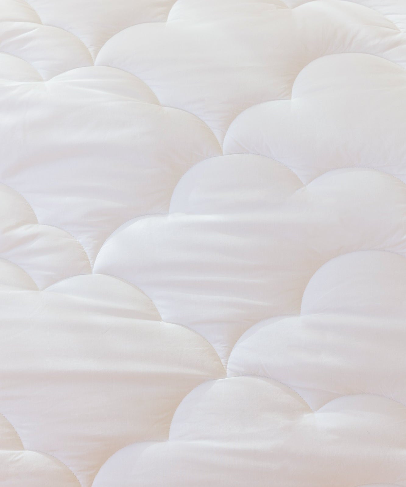 Duvet - Torres Novas
